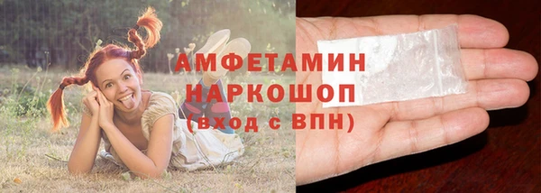 молекула духа Дмитриев
