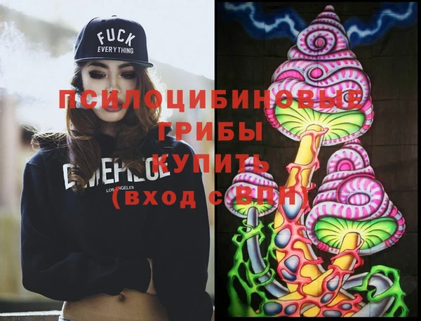молекула духа Дмитриев